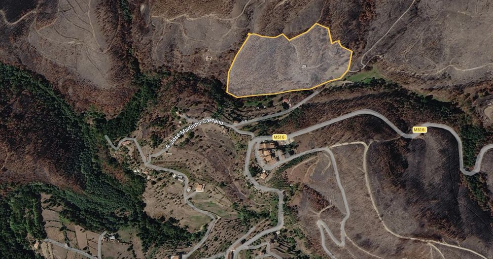 Terreno em Vila Cova à Coelheira - Seia (4,2 hectares)