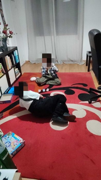 Carpete de sala  2x2.90m