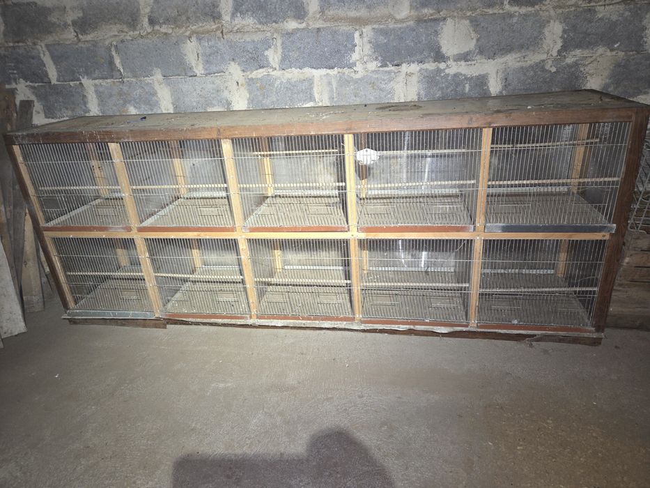 Regał kanarek amadyna