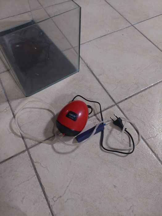 Aquário para iniciantes 40x25