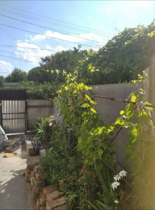 Дом в Пирятині, Полтавська обл