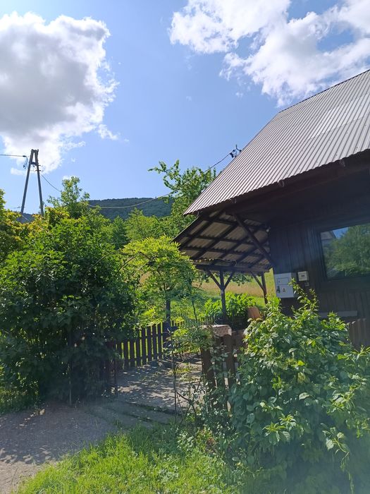 Domek wolnostojący, pokój do wynajęcia, nocleg, agroturystyka