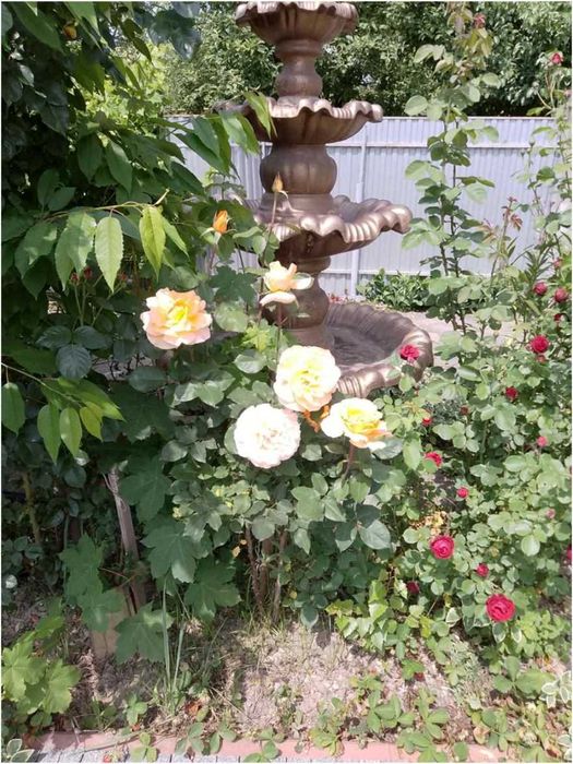 Продам будинок в Івано-Франківську по вул. Січинського.