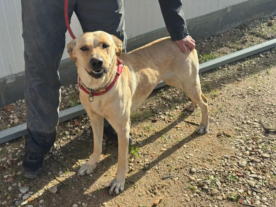 Grandona, matulona e meiga menina
