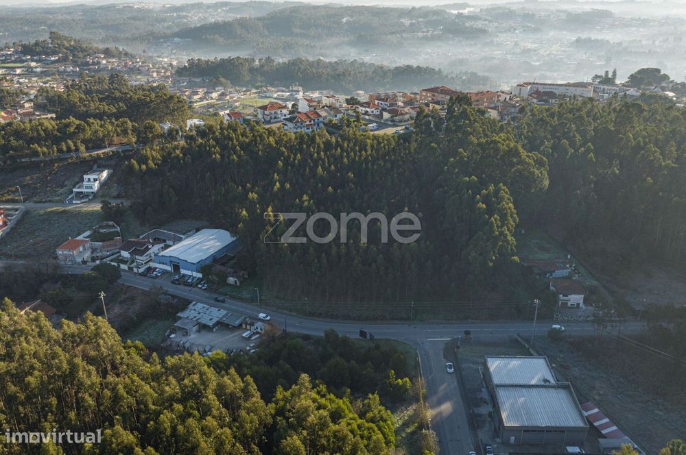 Terreno Urbano Sanguedo