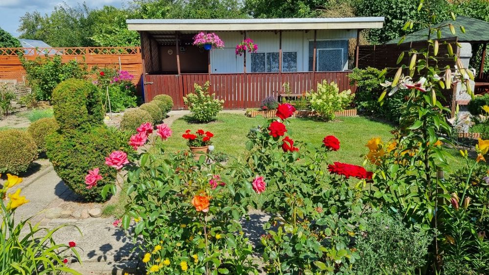 Sprzedam działkę ROD