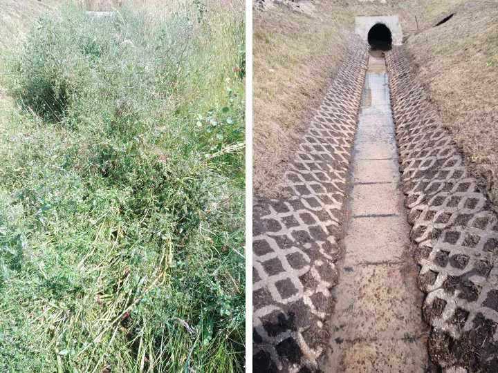 Koszenie traw, Pielęgnacja działek, Czyszczenie Działek pod Budowę