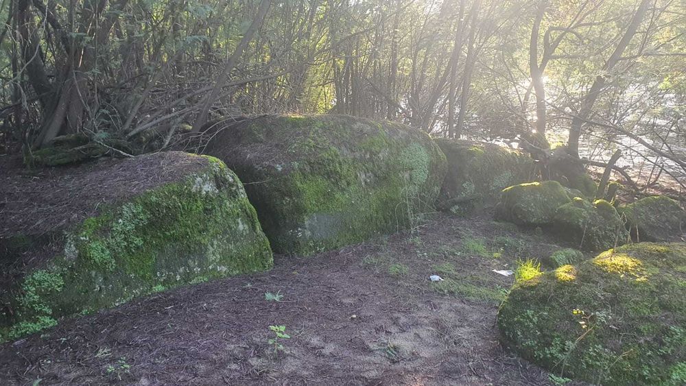 Propriedade com 6ha à Beira do Rio Mondego