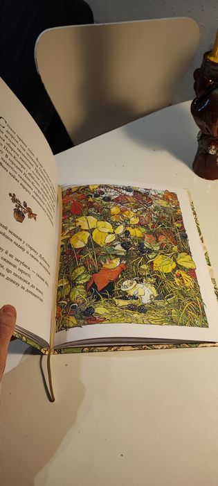 Рік в ожиновому живоплоті, б/в