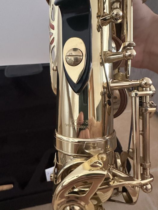 Saxofone Alto Thomann TAS-180 – Novo / Nunca Usado