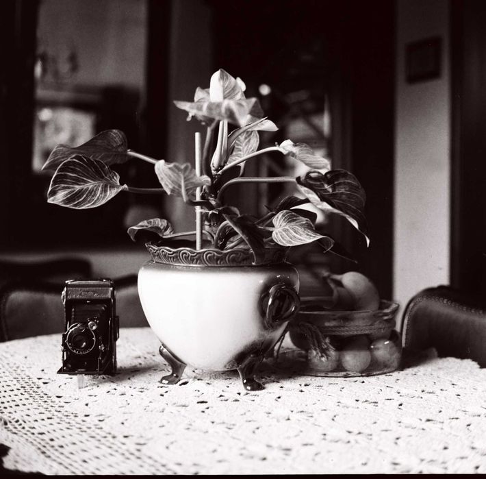 Yashica Mat 6X6  Yashinon F=80mm 1:3,5