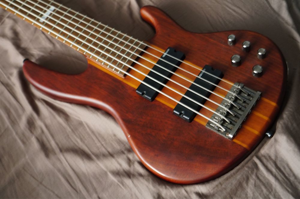 Esp ltd D-6 steunowa gitaea basowa