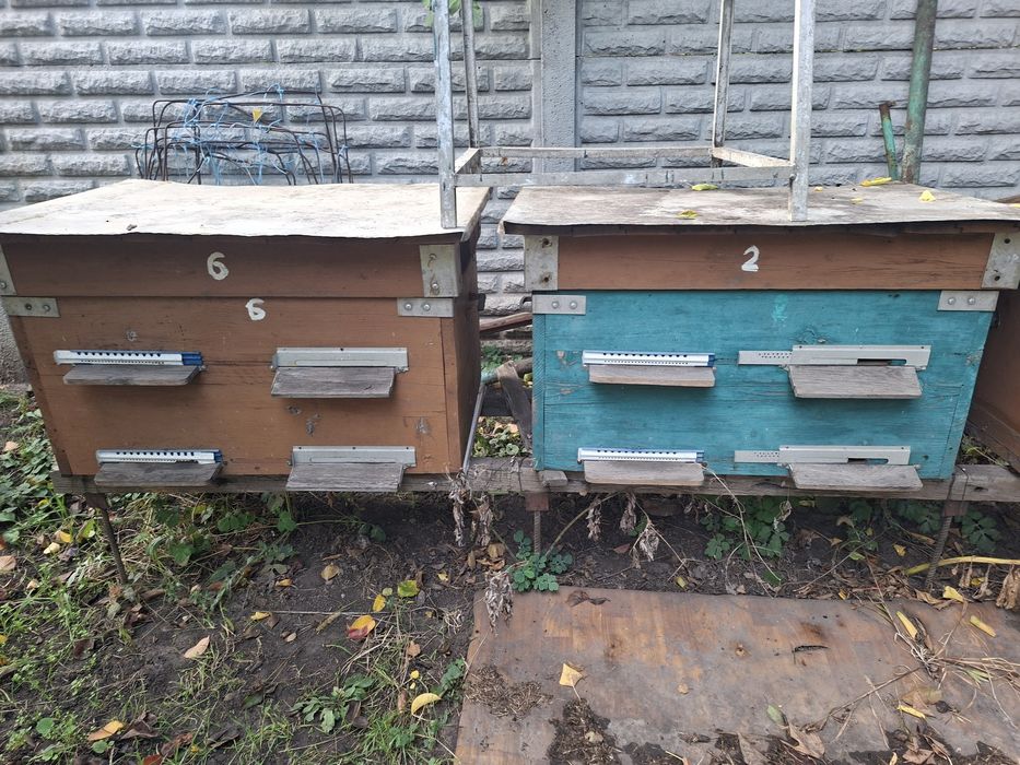Продам вулики 9шт.з рамками.Самовивоз з ж/м Ігрень