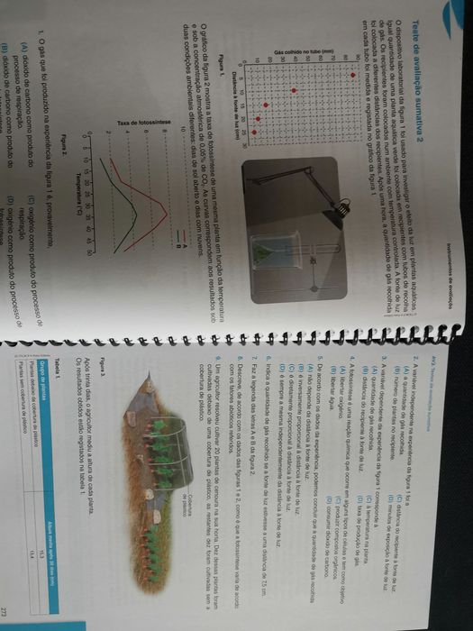 Caderno de apoio ao estudo com testes  Ciências 8 ano - Geo cientic