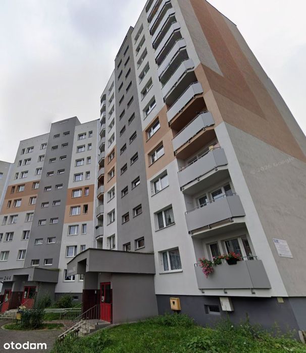 36m2 | ul. Radockiego, Katowice | do odświeżenia