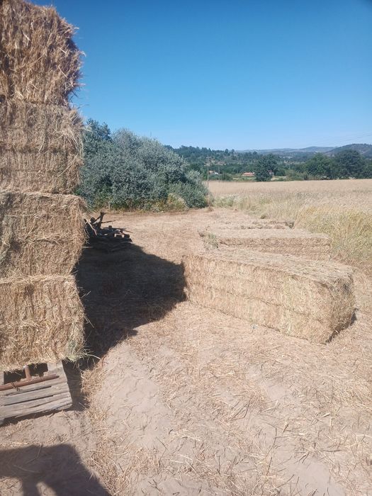 Feno mistura fardos grandes