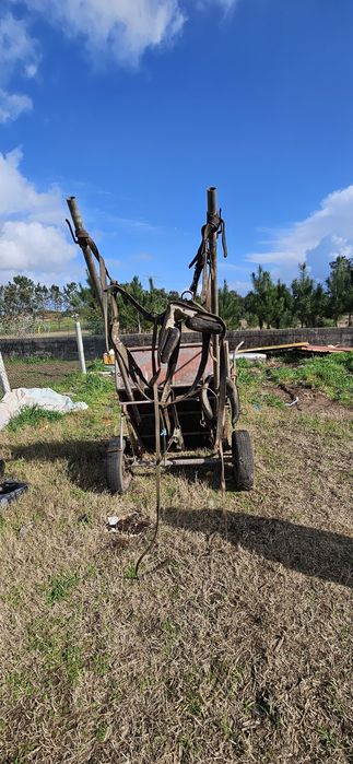 Carroça em bom estado