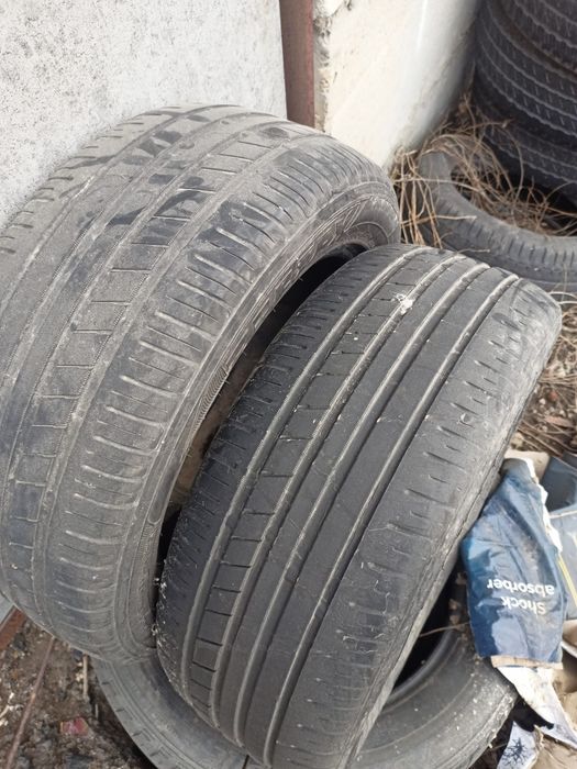 Продам пару колись 215.55.16