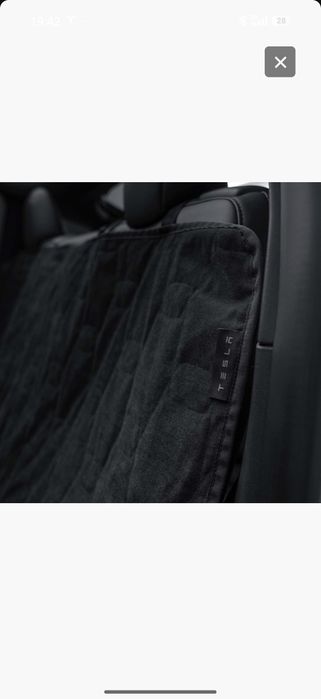 Proteçao para cães Tesla Model Y