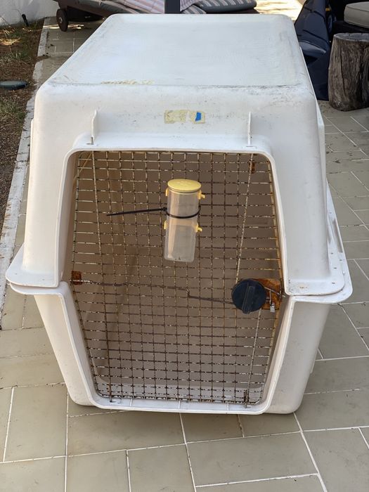 Transportadora para Animais Grande Porte Padrão IATA para Avião