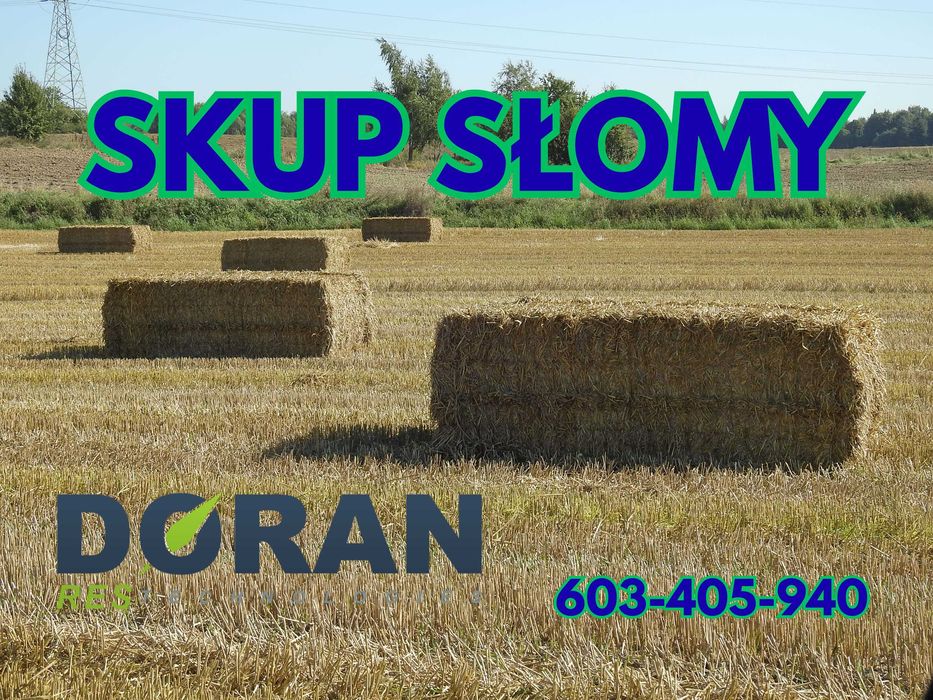 SKUP SŁOMY Żniwa 2026 - Kupię słomę z pokosu