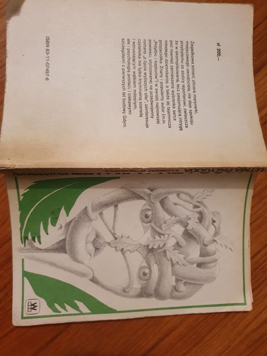 Letnia przygoda - Kazimierz Korkozowicz