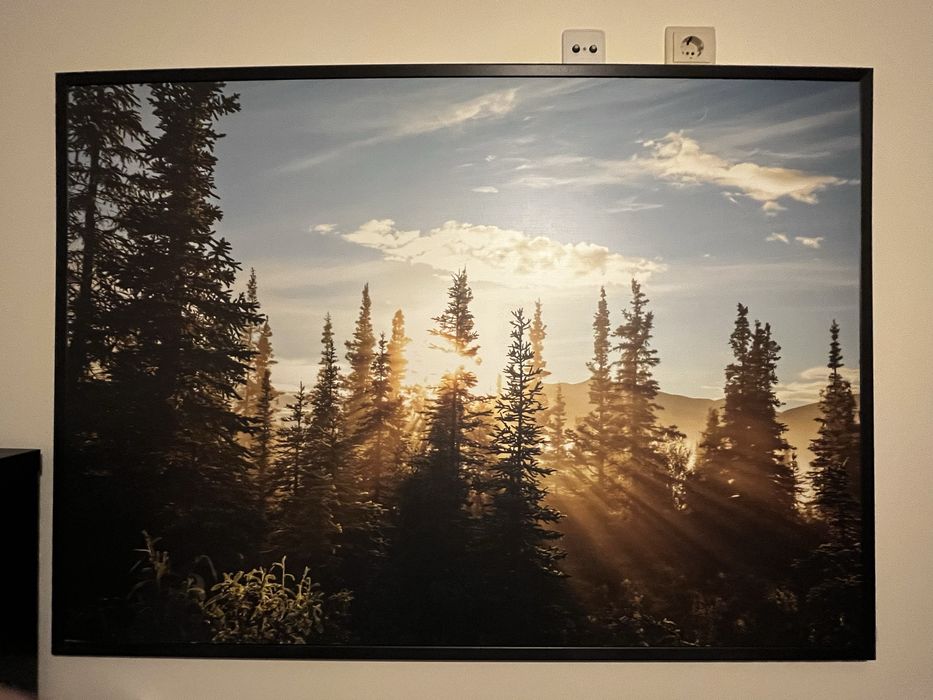 Decorative Painting - Forest and Sun64387425271681120