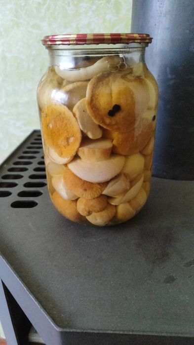 Гриби білі мариновані,вищого гатунку.(Закарпаття,Свалявщина)шапочки.