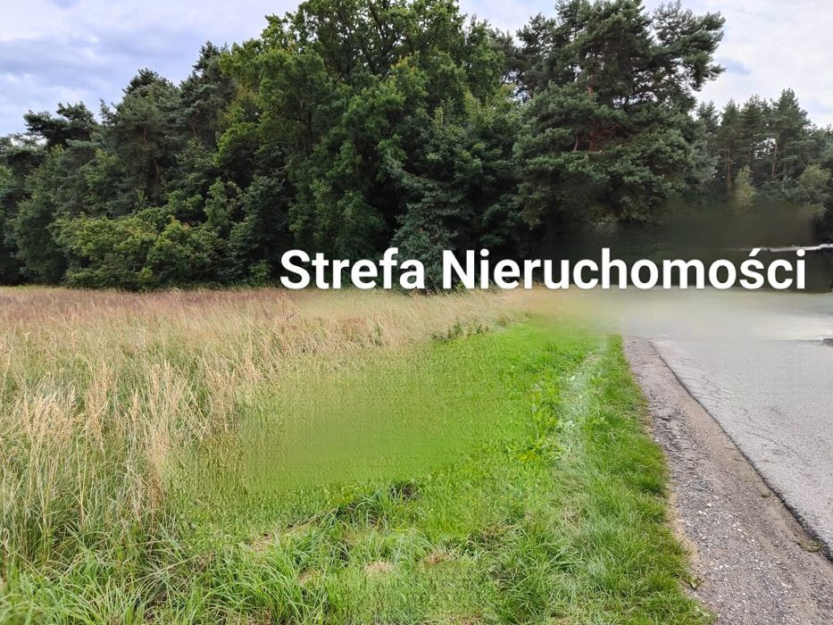 Piękna działka Chwalecice Rybnik  3835m2 z możliwością podziału