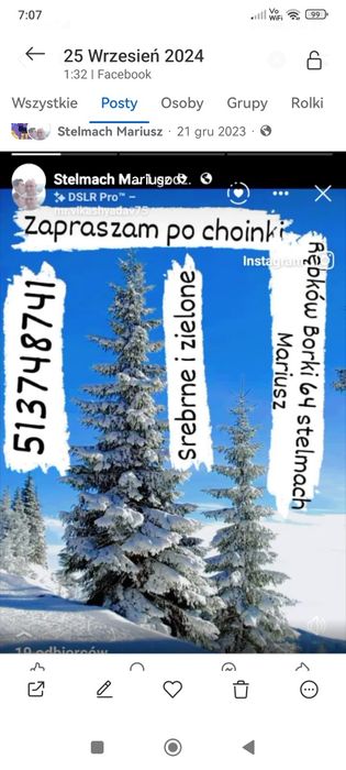 Na działkę i do ogrodu Choinki świerki srebrne i zielone