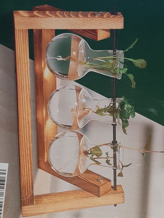 Ukorzeniacz roślin - Parkside