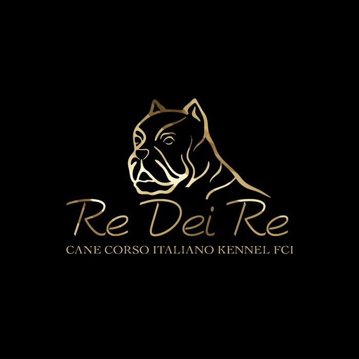 Cane Corso ZKwP/ FCI