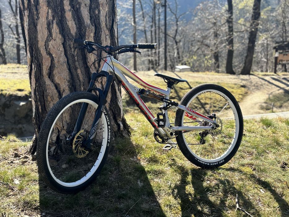 Specialized enduro sx
