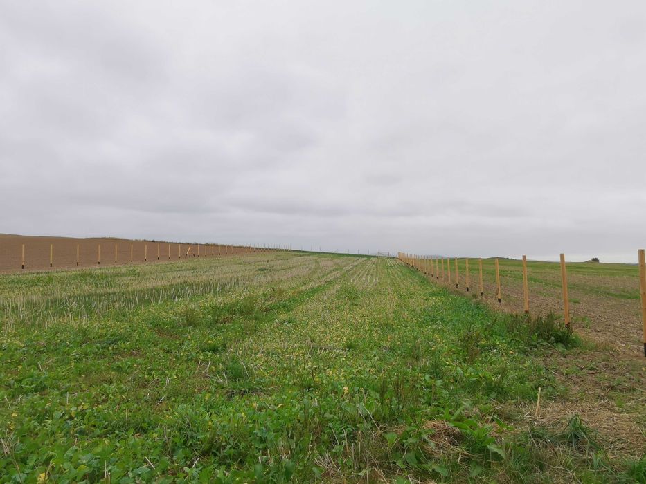 Ogrodzenia tymczasowe budowlane leśne Betonowe Słupki toczone