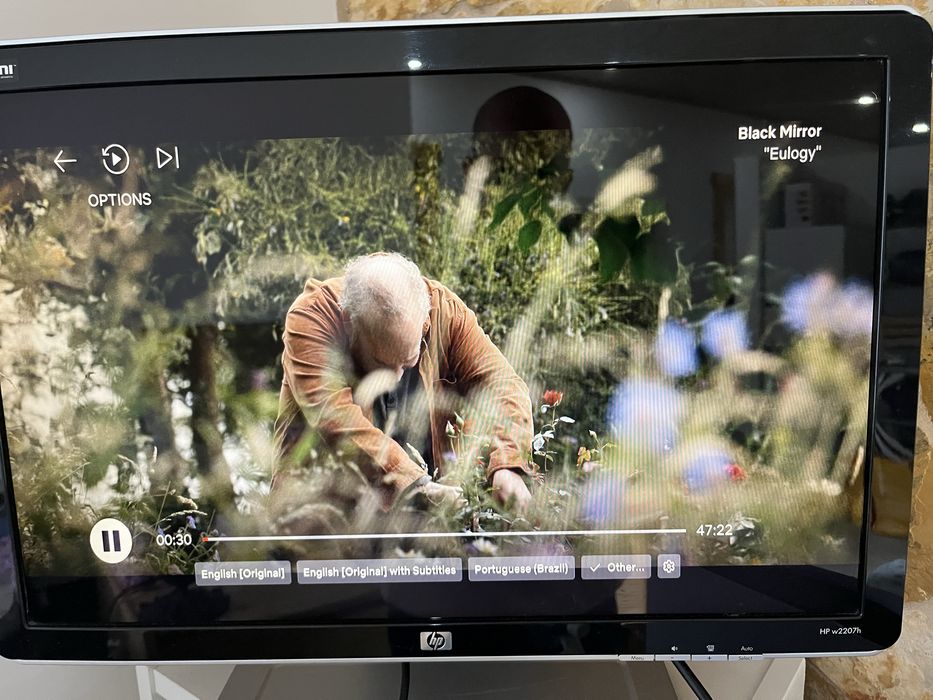 Monitor HP W2207h
