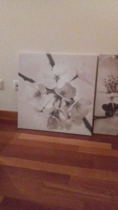 Descida de preço! 3 quadros (medidas 57cmx57cm)