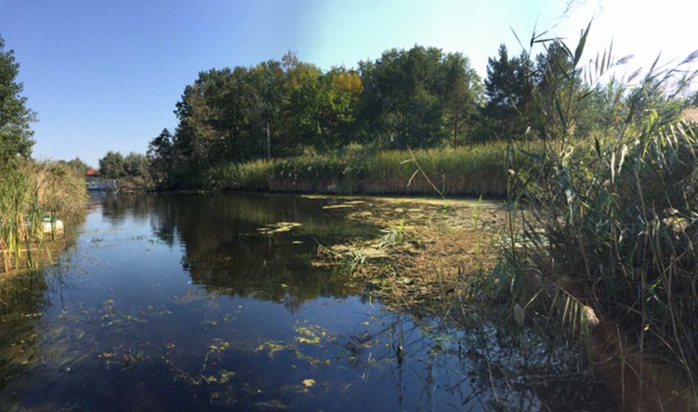 Продається півострів 1.5 га під бази ,готелі,яхтклуби,вихід на Дніпро