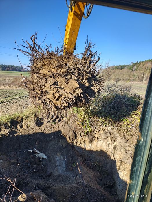 Koparka, usługi koparkami, stawy, wykopy, roboty ziemne