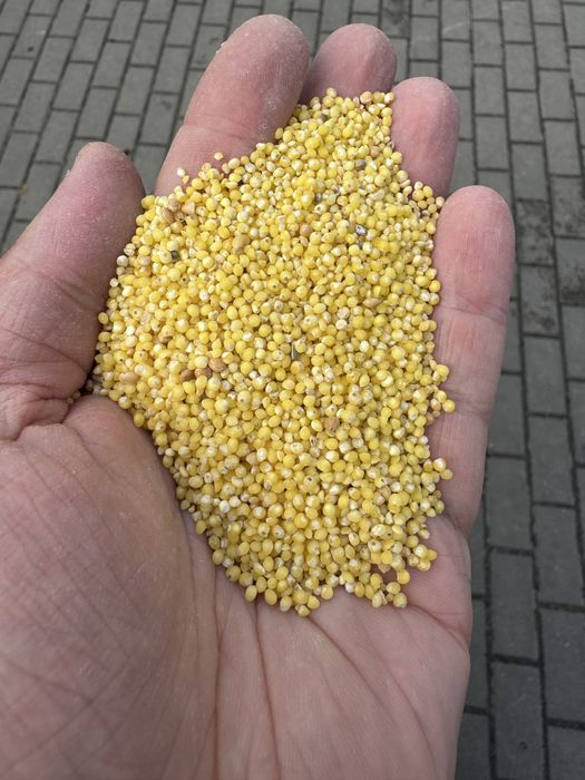 Пшоно , зелений горох, пшенична , ячна ,перлова