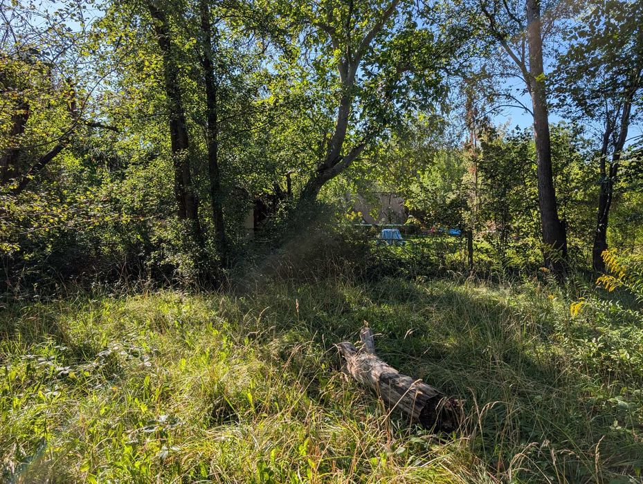 ROD Czerniaków ogród działkowy - Widok 5
