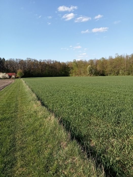 Działka budowlana