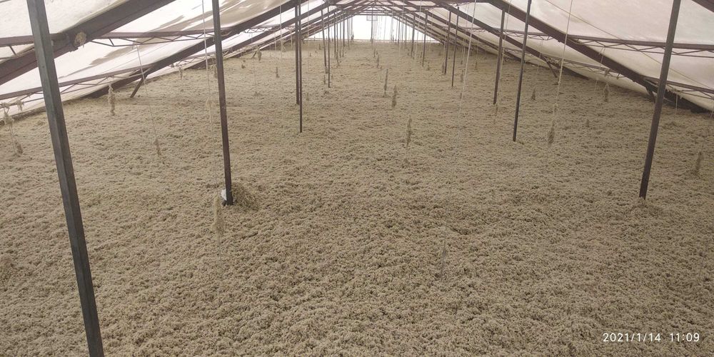 Wdmuchiwanie granulatu celulozy, wełny , termowizja, docieplenia