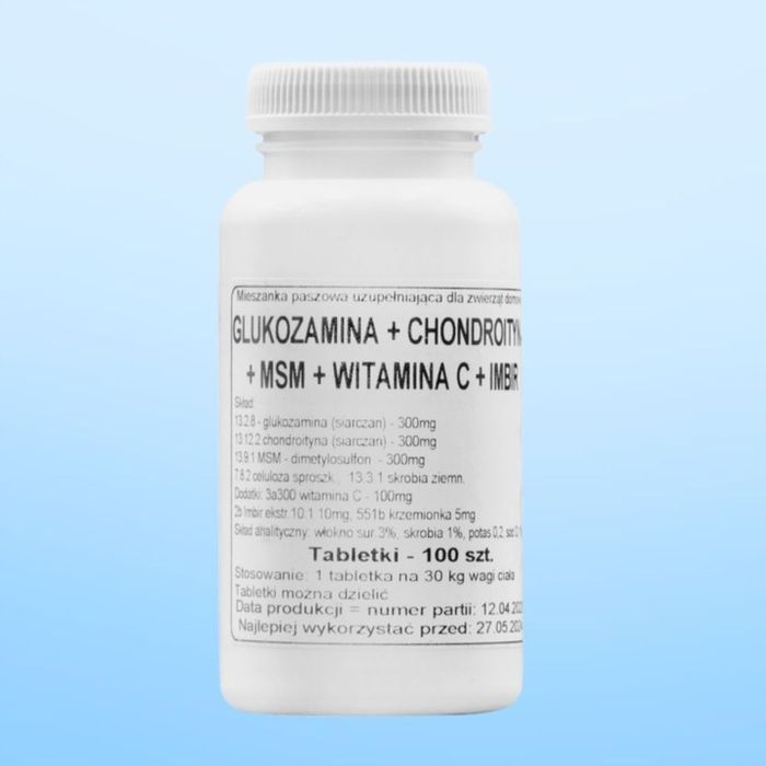podkowa glukozamina + chonfroityna + msm + witamina c + imbir 100 tab.