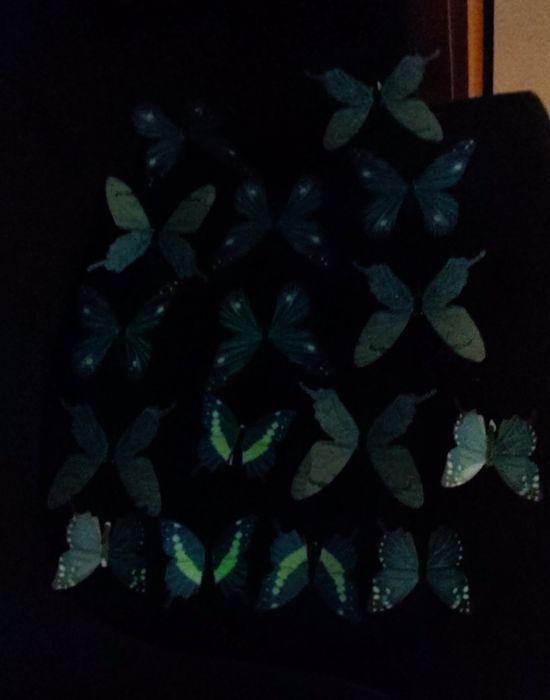 Borboletas decorativas