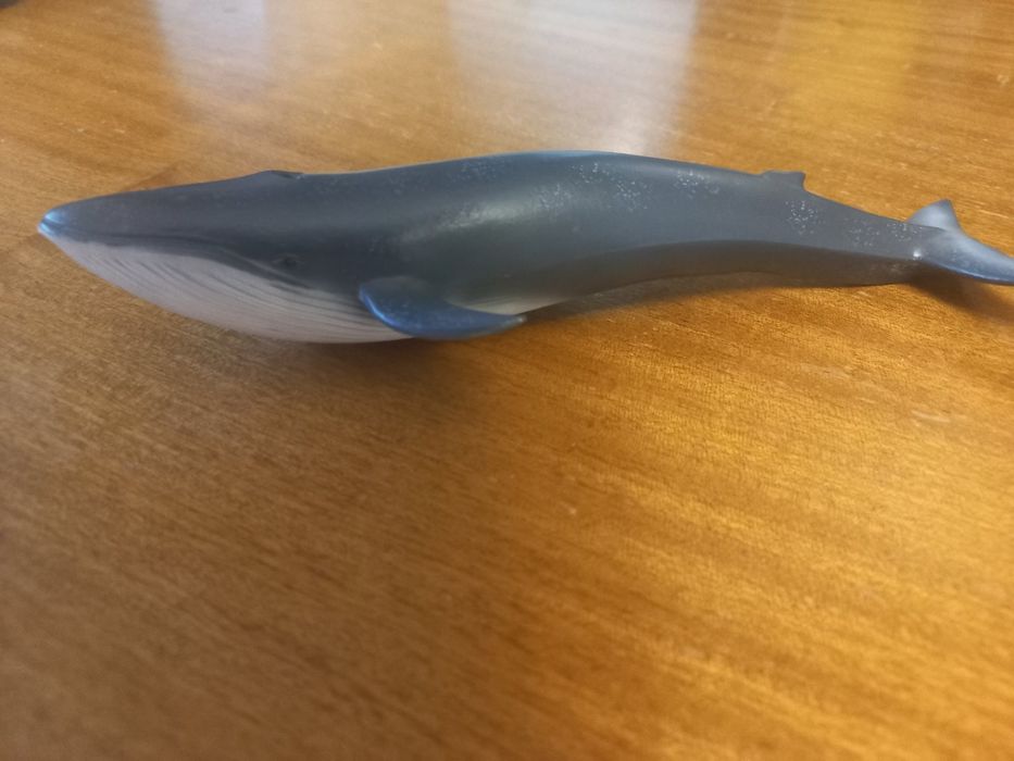 Набор фігурок Schleich касатка, кит , їжак