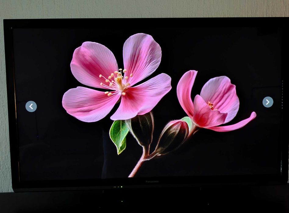 TV Plasma Panasonic VIERA TX-P50X60 | Excelente Estado