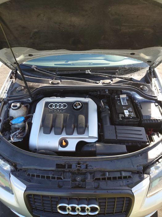 Audi A3 8P 1.9 TDi iuc baixo