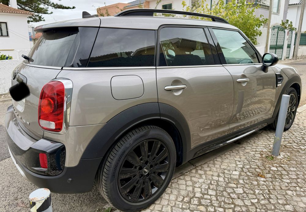 Mini Countryman One D