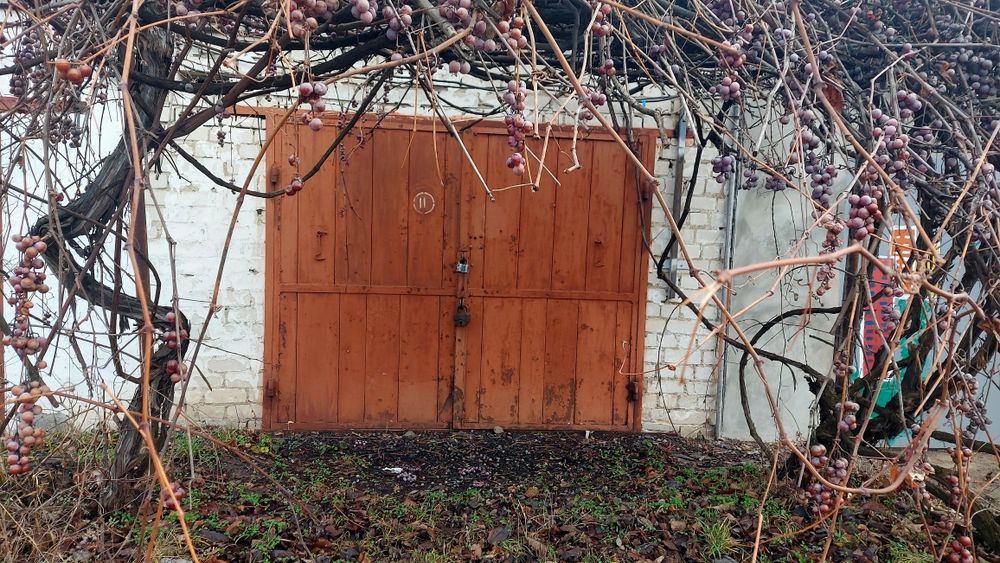 Гараж в автокооперативі "Луч" ( Загребля)