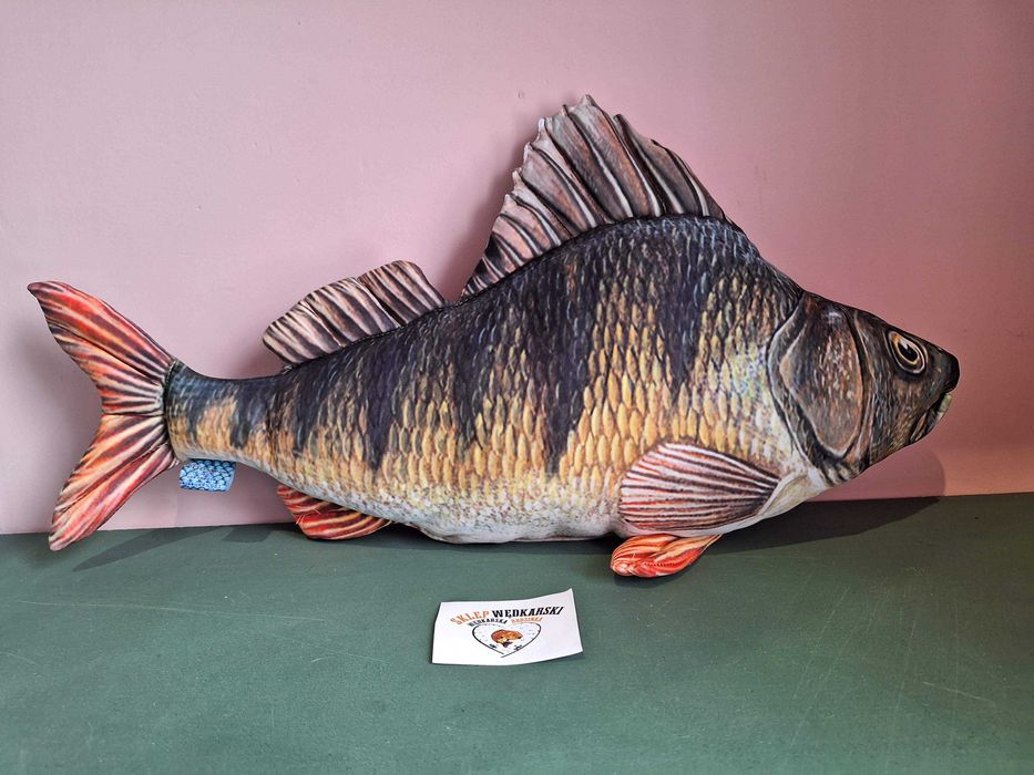 Okoń Poduszka 65cm